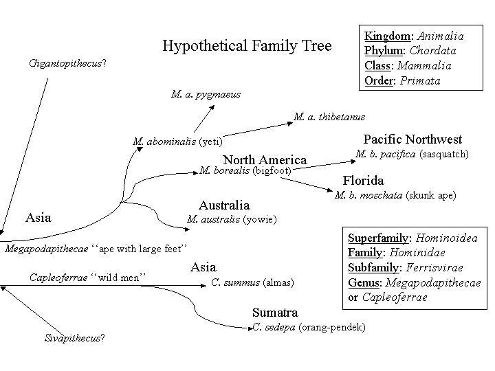 Hp Family Tree