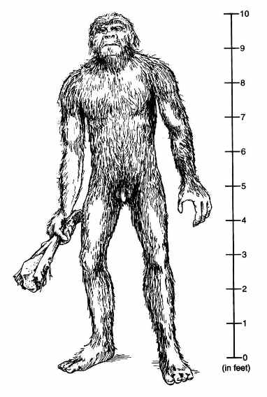 real bigfoot drawings