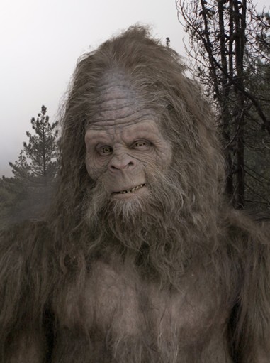 Messin With Sasquatch Wins Top Messin With Sasquatch Wins Top