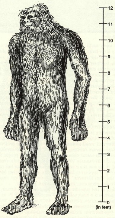 best bigfoot drawings