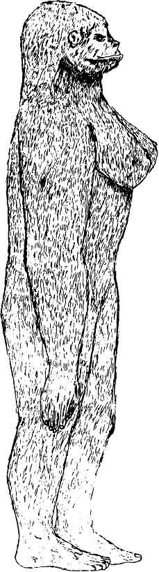 bigfoot drawings