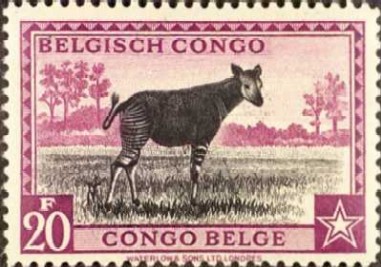 bcong225.jpg