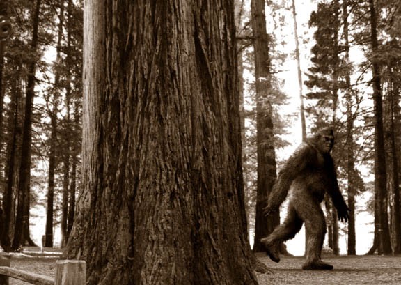 bigfoot story