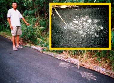 bigfoot footprints