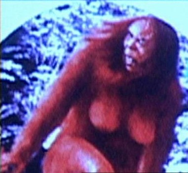 Chinese Bigfoot