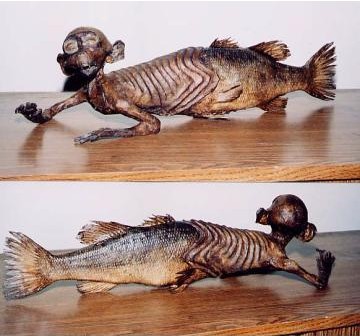The most current type of Feejee Mermaid gaff however are those made from 