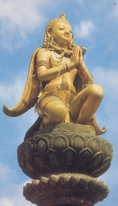 Garuda Symbol