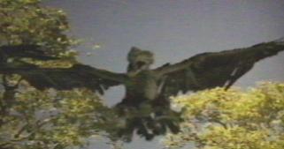 Thunderbird Sightings Pictures