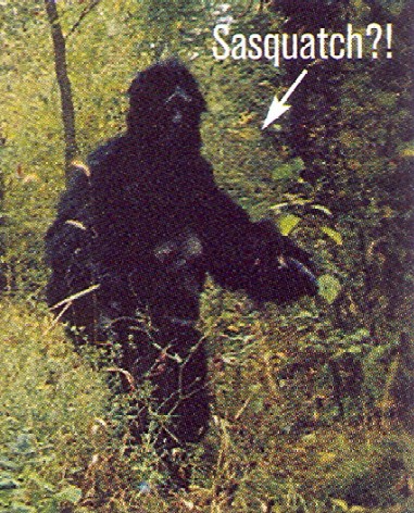 real bigfoot caught on tape