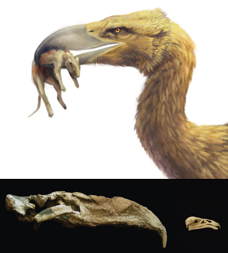  terror birds gives viewers an indication of how these dinosaurlike birds 