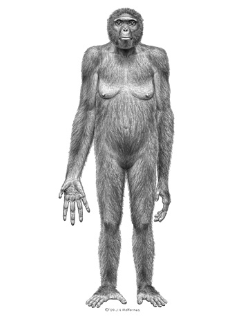 First Human Found