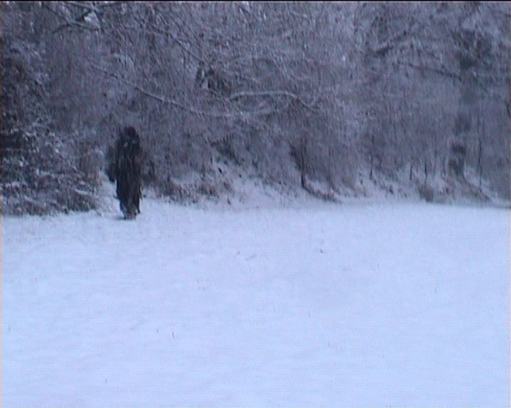 yeti video