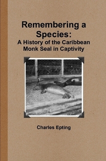 monk seal 1