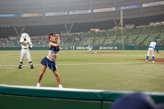 Seibu lion