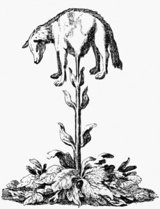 vegetable_lamb_lee_1887
