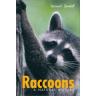 raccoon guidebk
