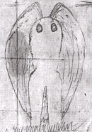 FirstDrawing