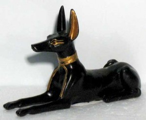 The Egyptian Jackal
