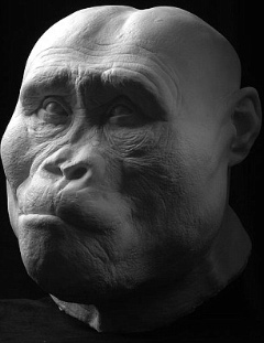 hominid 1