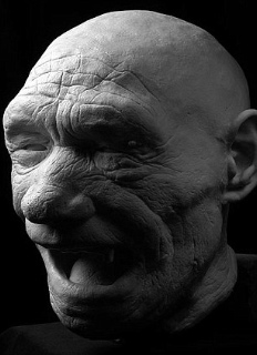 hominid 10