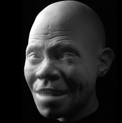 hominid 11