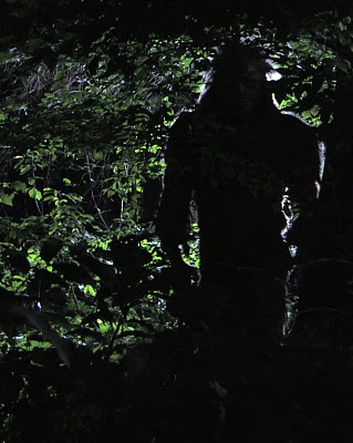 bigfoot-backlit-21