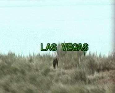 Video Of Bigfoot