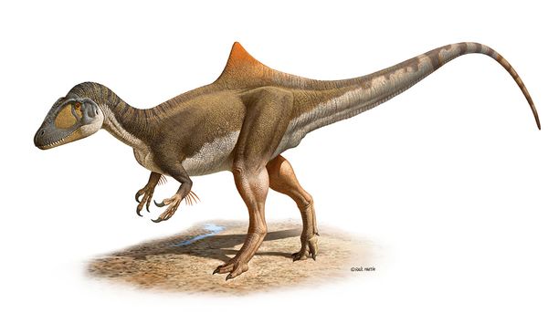 humpback-dinosaur
