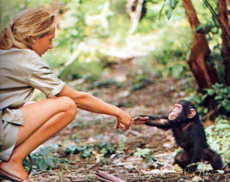 Jane Goodall 1960