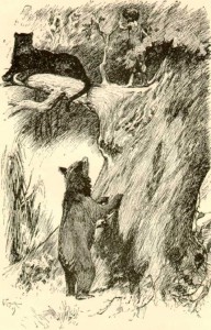 junglebook-7