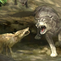 dire wolf pig