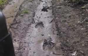 monsterfootprints