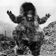 Yeti Dr Who