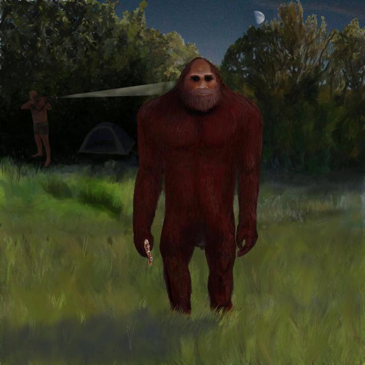 Bigfoot Video From Tent