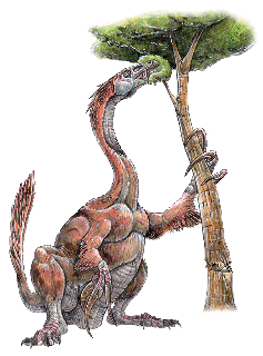 therizinosaurus_cheloniformis2-web.jpg