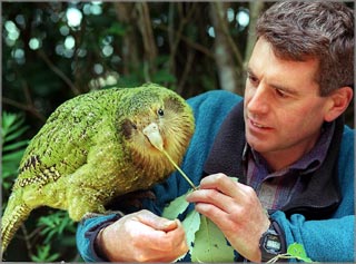 [Image: wide_kakapo.jpg]