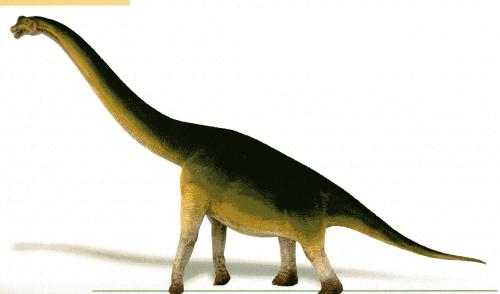 brontosaurus brachiosaurus diplodocus