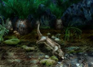 Yanoconodon allini
